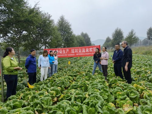 以试验促进高效生产，以科技助力生态农业——省农业技术推广总站的实践与探索