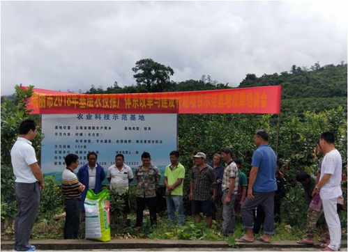 瑞丽市召开2018年农技推广补助项目基地物资发放暨现场观摩培训会