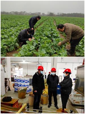 科技助农稳生产，服务下乡促春耕——市农技推广中心积极开展春耕备耕指导工作