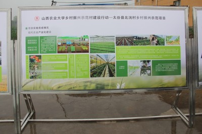 园艺学院春菜品种展示交流会 科技赋能农业，创新引领未来