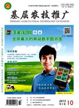 基层农技推广 助力农业现代化的关键路径