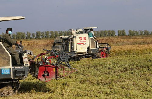 推广农业机械化技术对农业可持续发展的作用