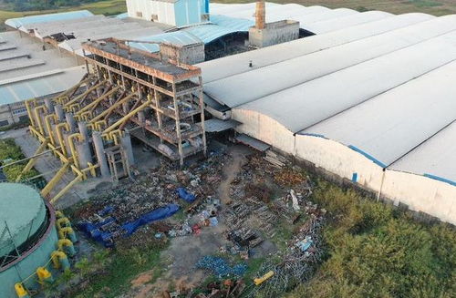 桂平市蒙圩镇农作物减产 陶瓷厂污染与农业技术推广的挑战